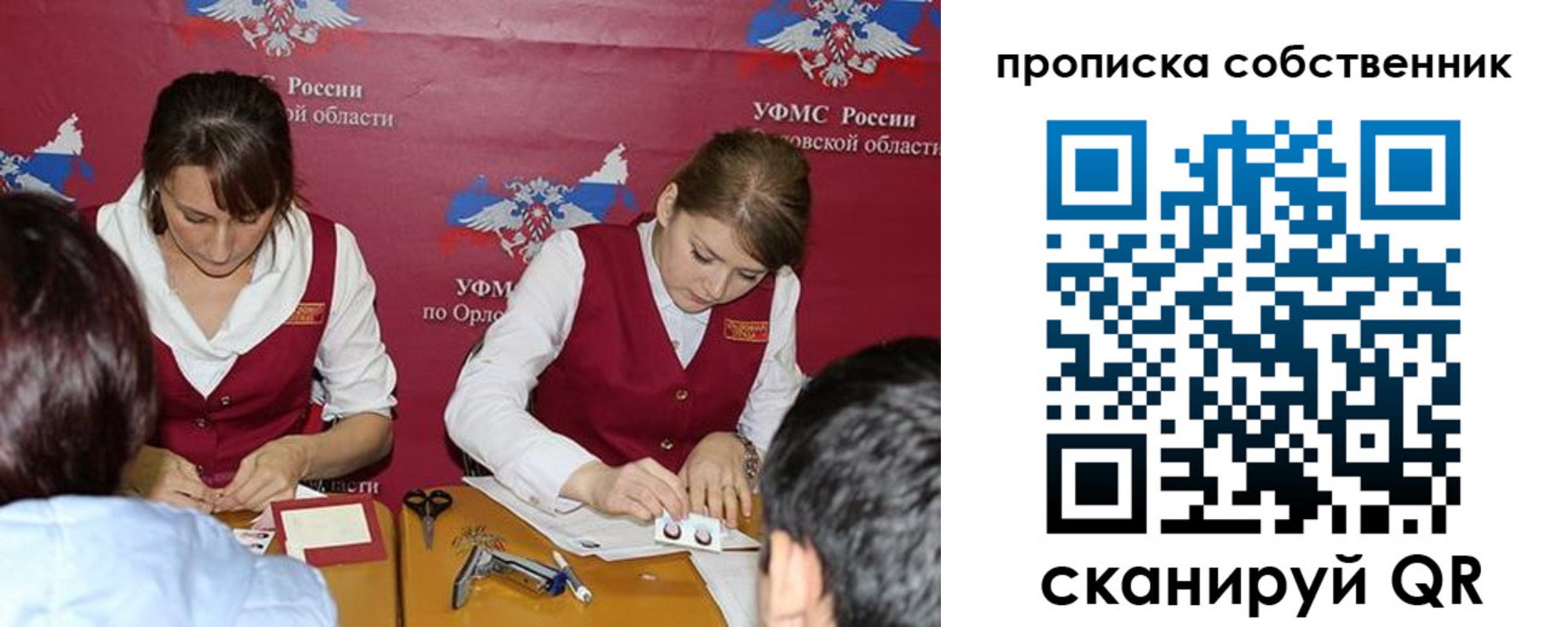 прописка поиск в Светлом